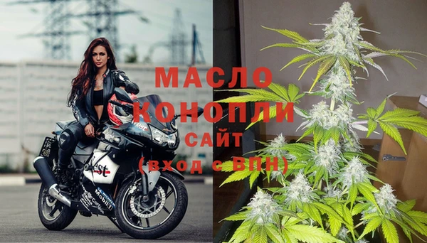 сатива Аркадак