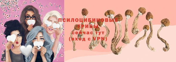 a pvp Арсеньев