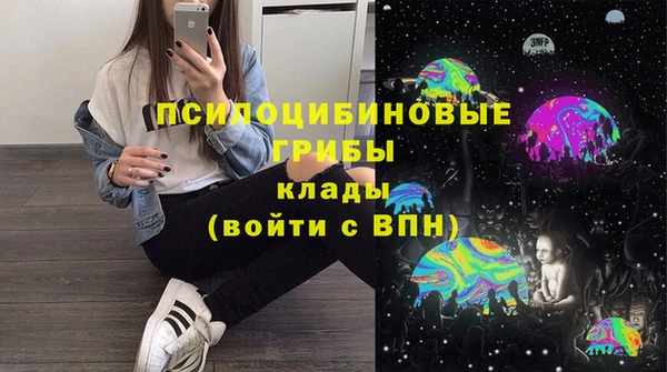 сатива Аркадак