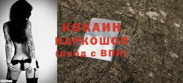 сатива Аркадак