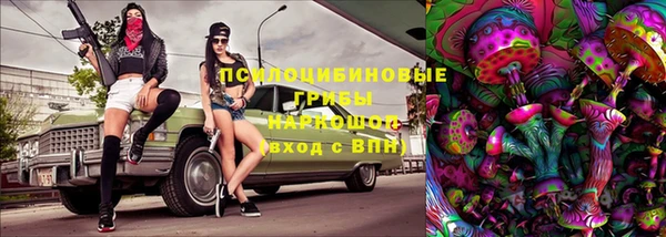 сатива Аркадак