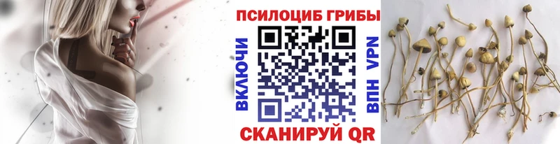 гидра tor  Сретенск  Галлюциногенные грибы Magic Shrooms 